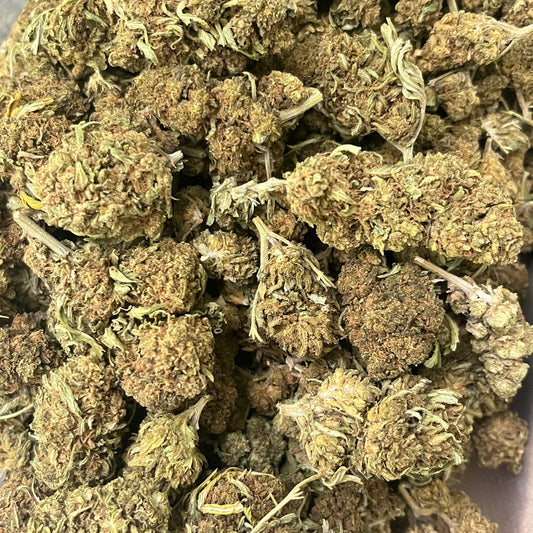 PK Kush