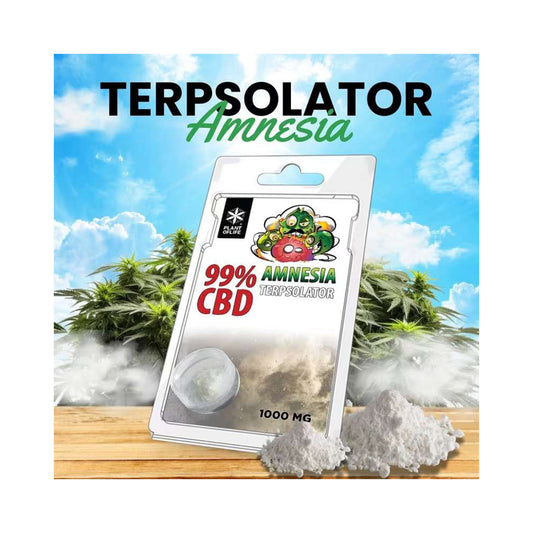 Terpsolator 99% CBD 1000mg Amnesia Haze | Plant Of Life