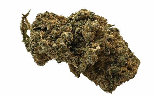 Gorilla x Gelato